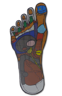 Fußreflexzonentherapie – Physiotherapie Heck Viersen-Dülken