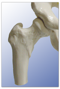 Manuelle Therapie – Physiotherapie Heck Viersen-Dülken